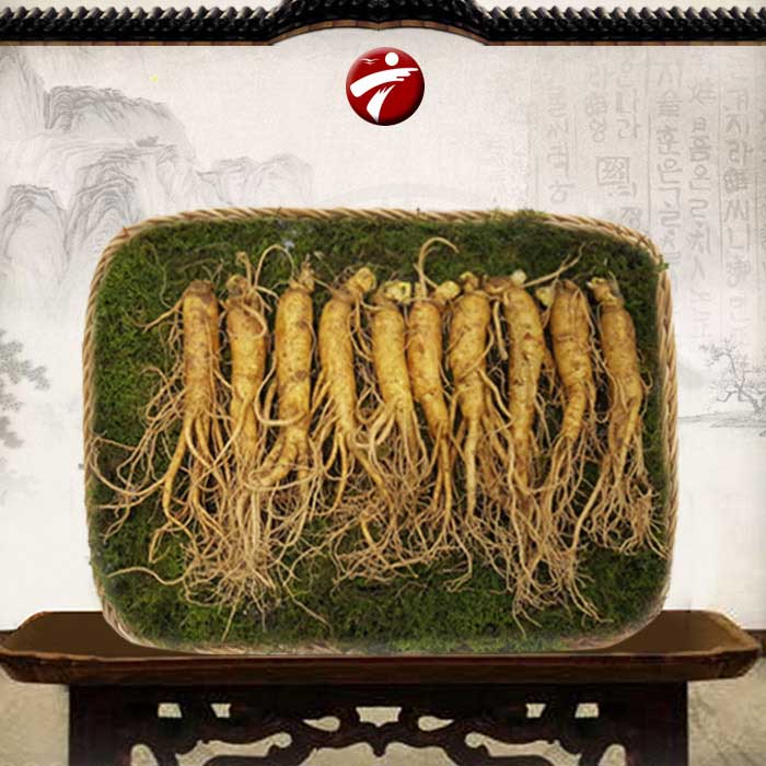 Những người nào không nên dùng nhân sâm