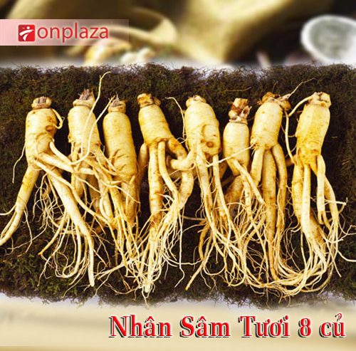 nhung-dieu-can-biet-ve-nhan-sam