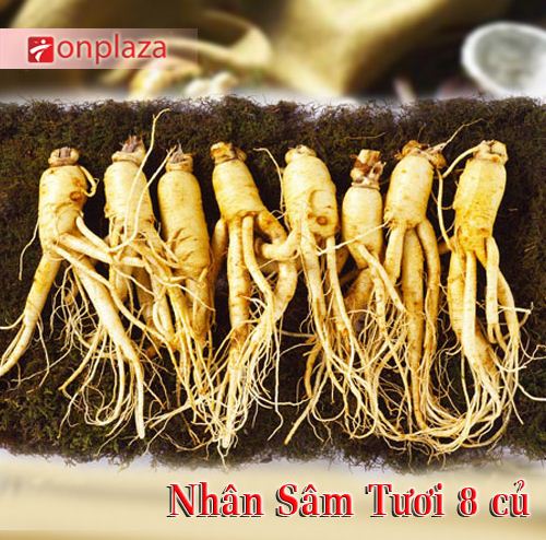 nhung-cong-dung-cua-nhan-sam-doi-voi-phu-nu