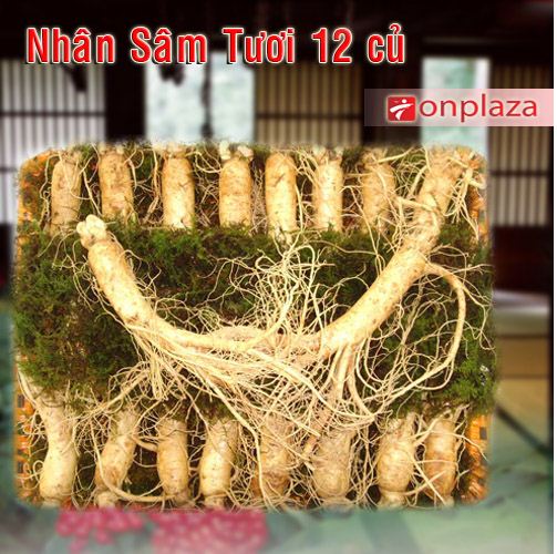 phu-nu-mang-thai-co-duoc-dung-nhan-sam-khong