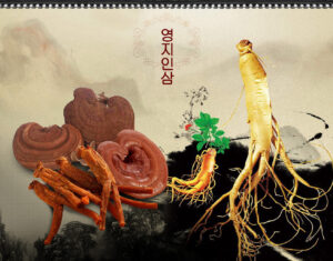 Phương pháp dùng nhân sâm, linh chi ngâm rượu