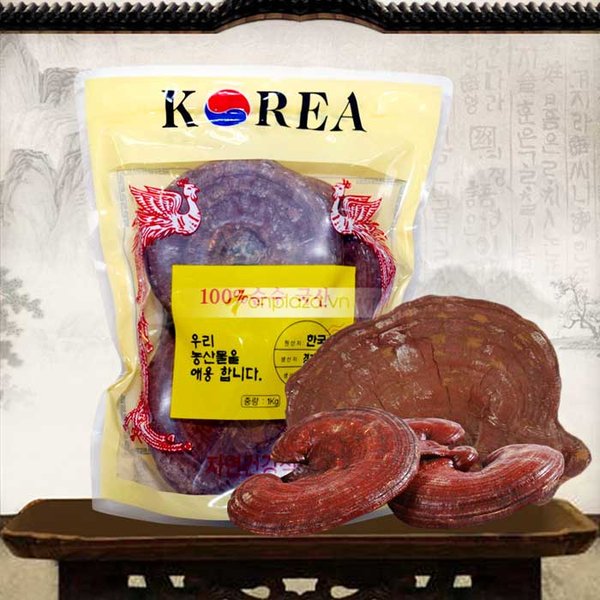 Nấm linh chi Hàn Quốc chất lượng được phân phối tại những đơn vị uy tín