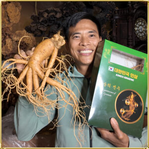 Nhân sâm tươi Hàn Quốc 3 củ/kg NS001