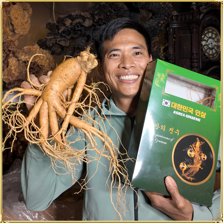 Nhân sâm tươi Hàn Quốc 3 củ/kg NS001