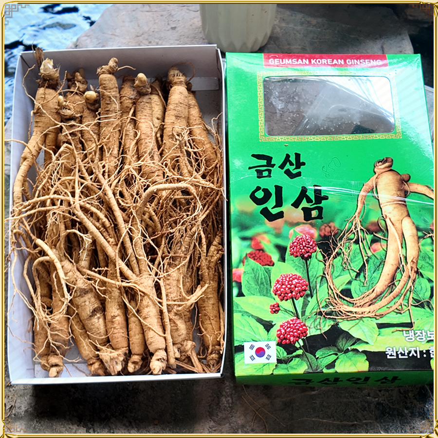 Sâm tươi Hàn Quốc 6 năm tuổi hầm gà 25 – 30 củ