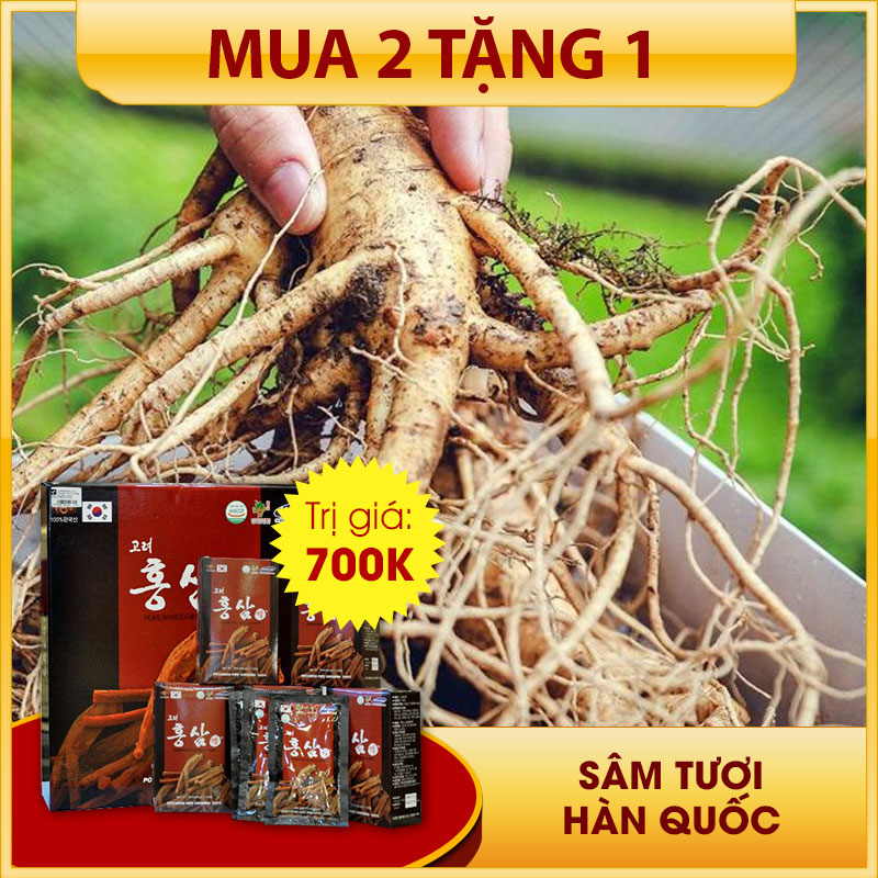 Nhân Sâm tươi Hàn Quốc loại 4 củ/kg NS002