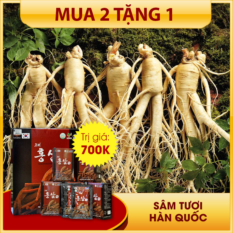 Sâm tươi Hàn Quốc loại 5 củ/kg NS003