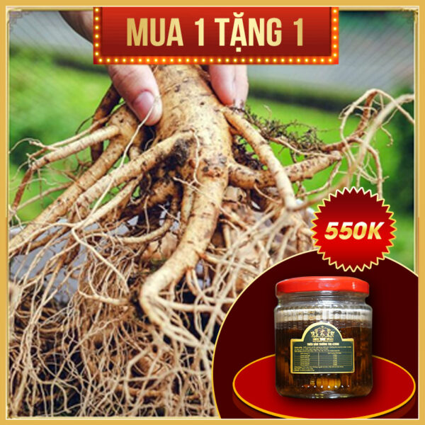 Nhân sâm Hàn Quốc loại 4 củ/kg NS002