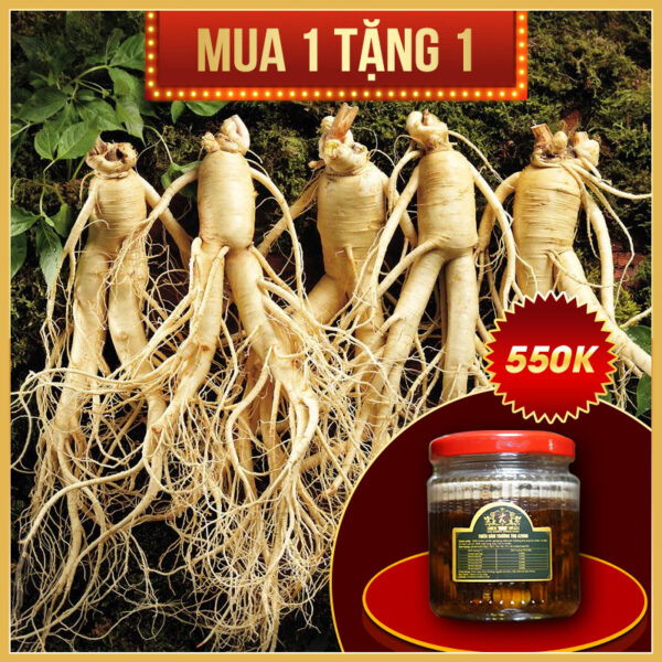 Nhân sâm Hàn Quốc loại 5 củ /kg NS003
