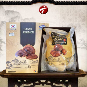 Nấm linh chi hàn quốc pocheon 1kg loại 4-6 lá L313