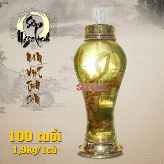 Bình ngâm sâm 100 năm tuổi ( loại 2,1kg/ 1 củ sâm)