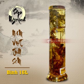 Bình sâm Ngọc Linh 20L NS308