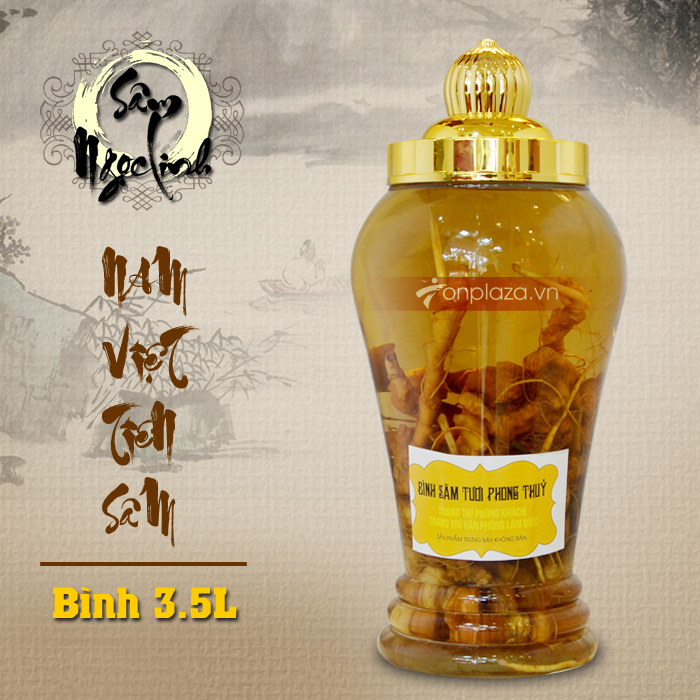 Bình sâm Ngọc Linh 3.5L củ nhỏ NS394