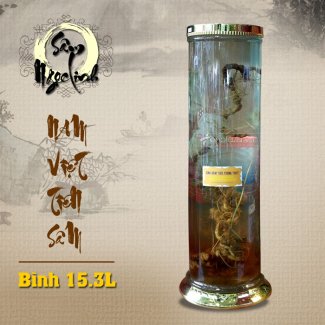 Bình sâm ngọc linh KG18 15.3L cao cấp NS231