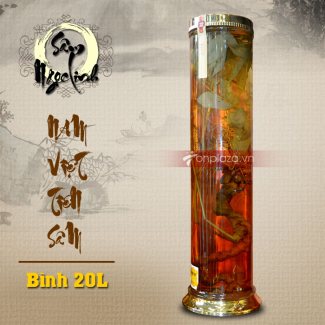 Bình sâm Ngọc Linh hình trụ dài củ to 20L (loại 10 củ/kg) NS327