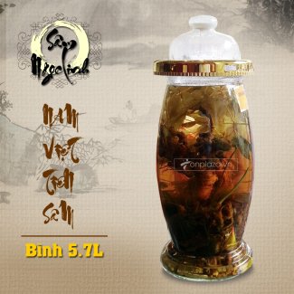 Bình sâm Ngọc Linh KG13 loại 5,7 lít NS300