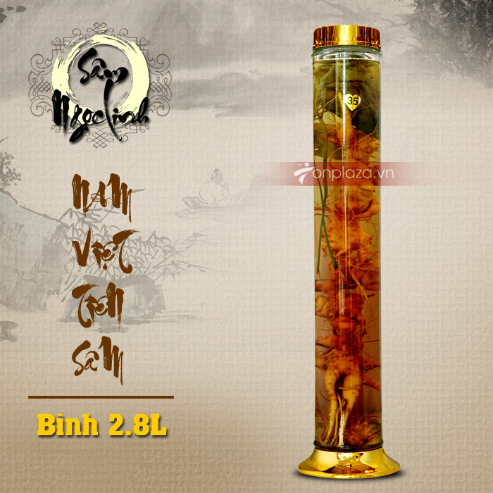 Bình sâm Ngọc Linh loại nhỏ 2,8L NS393