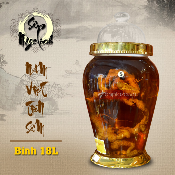 Bình sâm Ngọc Linh (số 5) 18L NS399