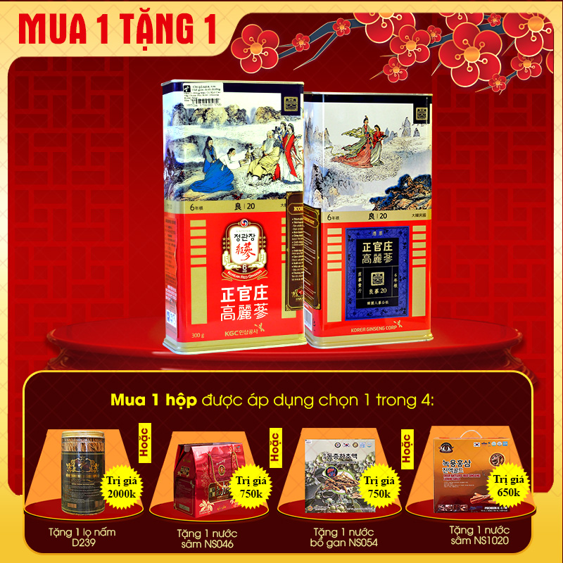 Hồng Sâm Củ Khô Chính Phủ KGC Hộp Thiếc 300g Số 20 (14 Củ) NS655