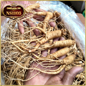 NHÂN SÂM TƯƠI HÀN QUỐC 5 NĂM TUỔI LOẠI 650K/KG
