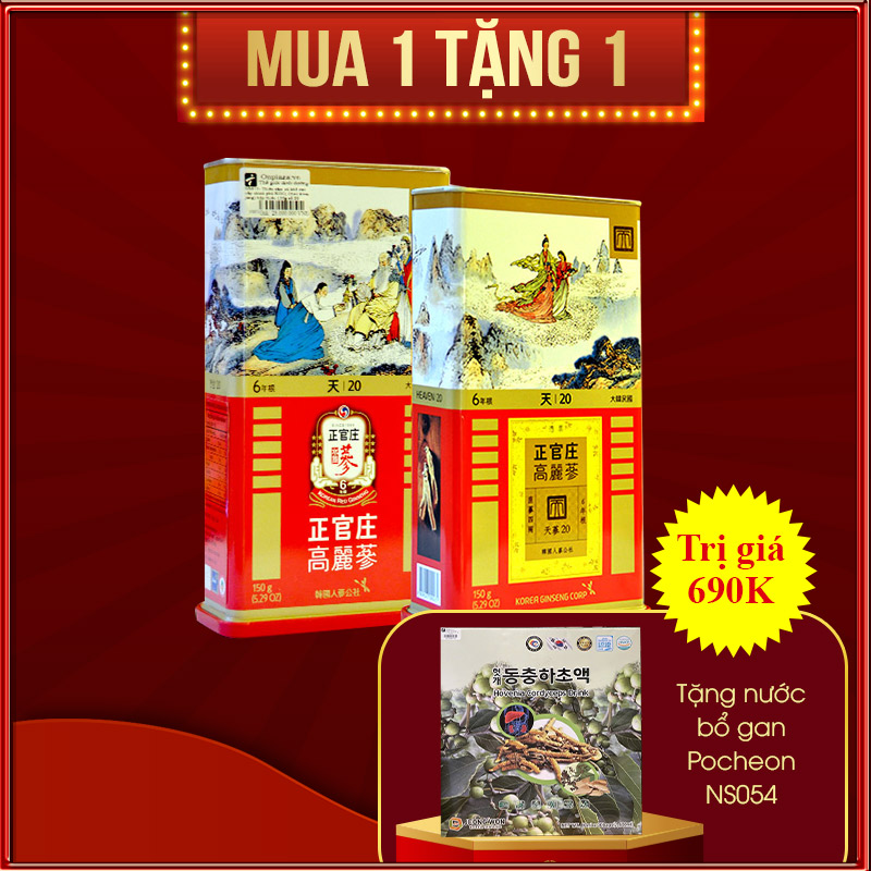 Thiên Sâm Củ Khô Chính Phủ KGC Hộp Thiếc 150g Số 20 (7 Củ) NS673 Thiên Sâm Củ Khô Chính Phủ KGC Hộp Thiếc 150g Số 20 (7 Củ) NS673